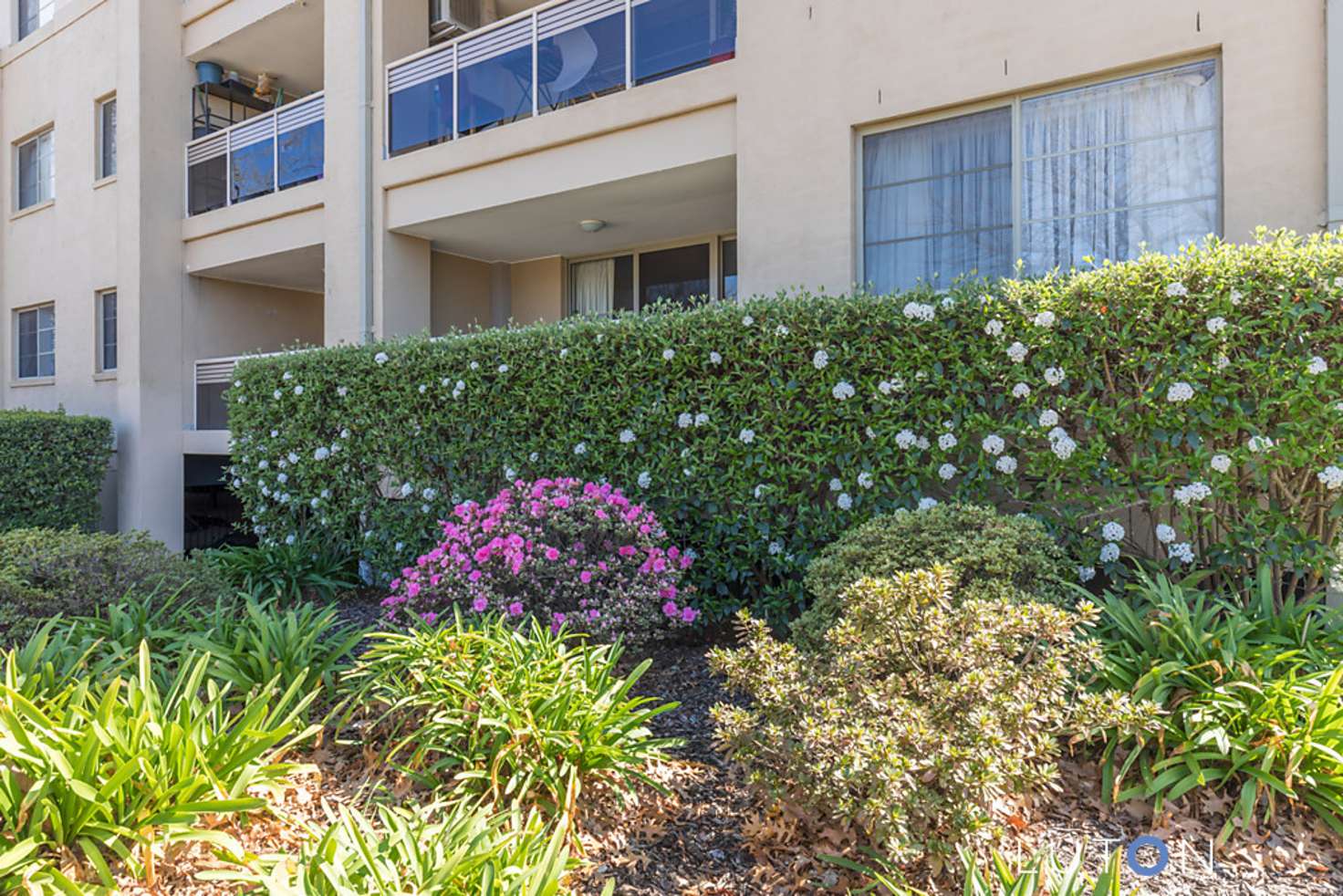 Main view of Homely apartment listing, 26/28 Torrens Street, Braddon ACT 2612