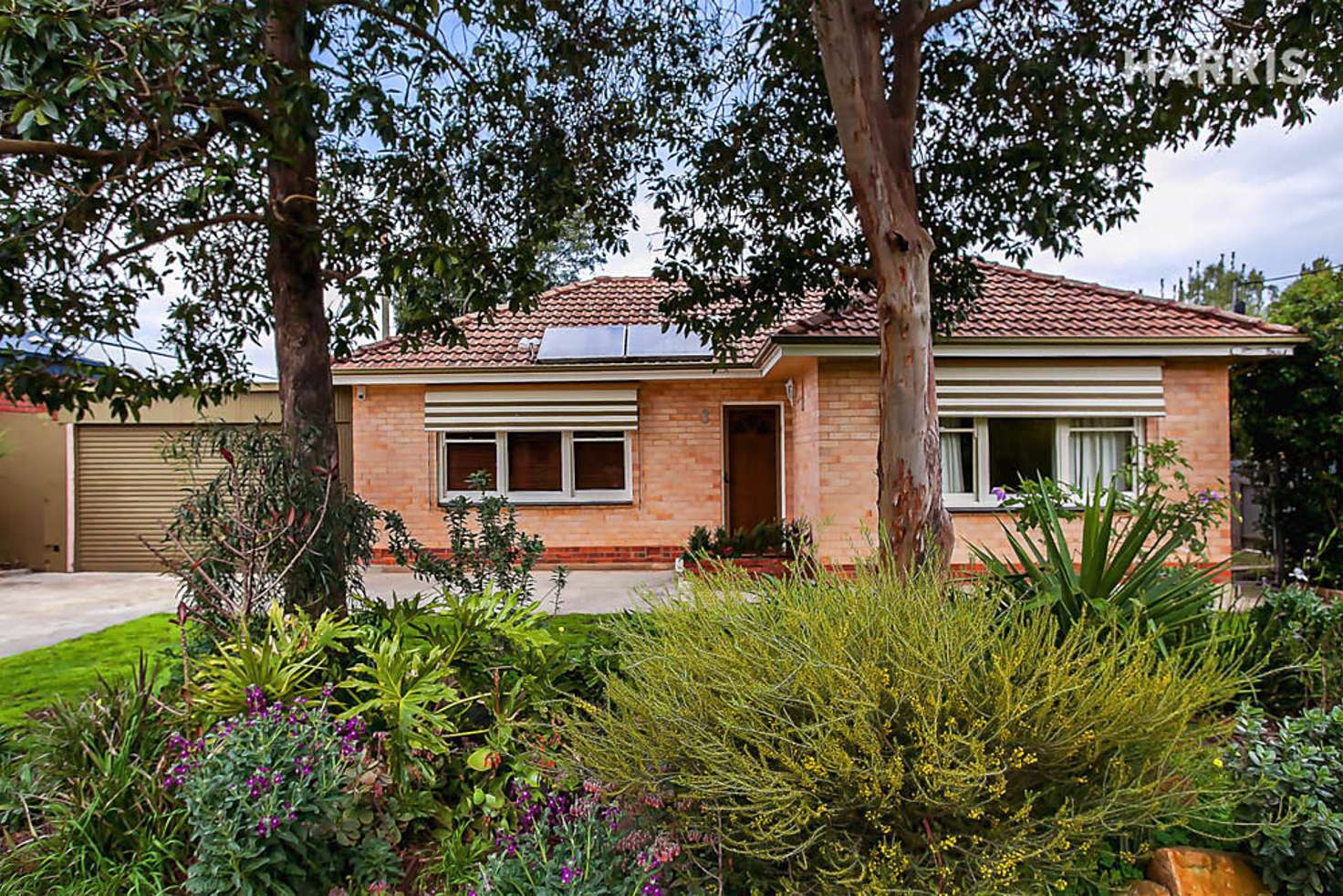 Main view of Homely house listing, 3 Lily Avenue, Campbelltown SA 5074