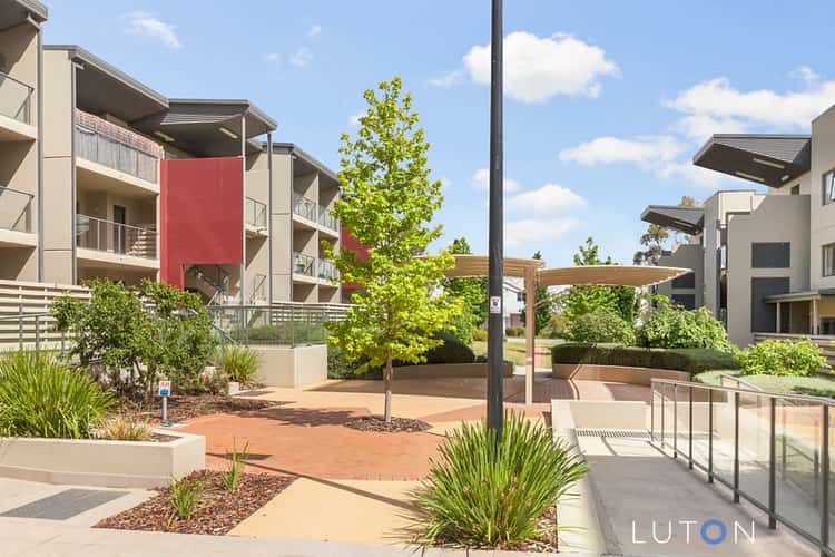 Main view of Homely apartment listing, 83/21 Battye Street, Bruce ACT 2617