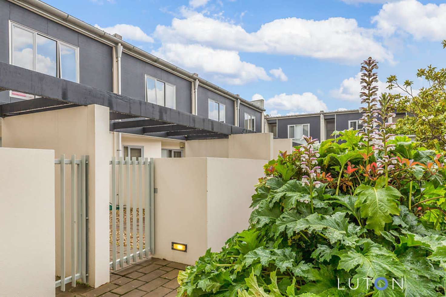 Main view of Homely apartment listing, 31/1 Beissel Street, Belconnen ACT 2617
