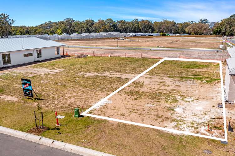 Main view of Homely residentialLand listing, 16 Myrtle Street, Burpengary QLD 4505