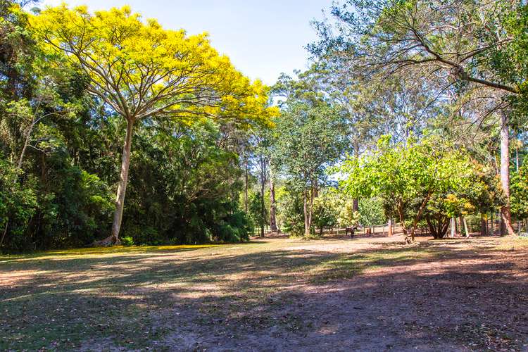 Main view of Homely house listing, 169 Winston Road, Palmwoods QLD 4555