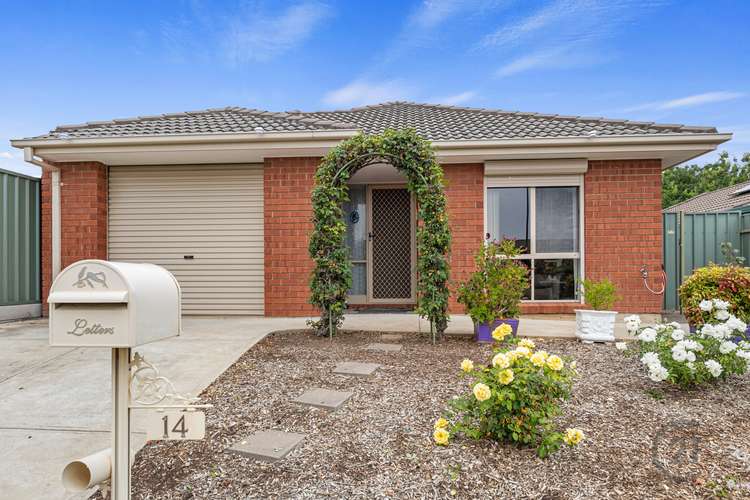 14 Cherrybrook Drive, Morphett Vale SA 5162