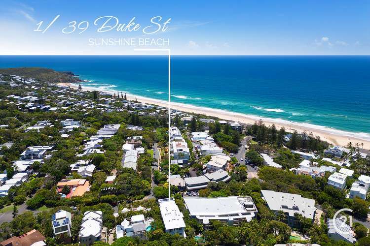 Main view of Homely apartment listing, 1/39 Duke Street, Sunshine Beach QLD 4567