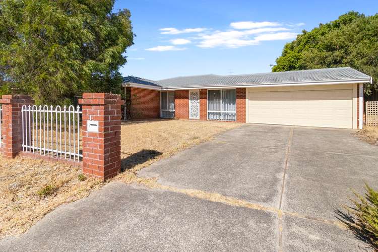 Main view of Homely house listing, 41 Chapple Drive, Australind WA 6233