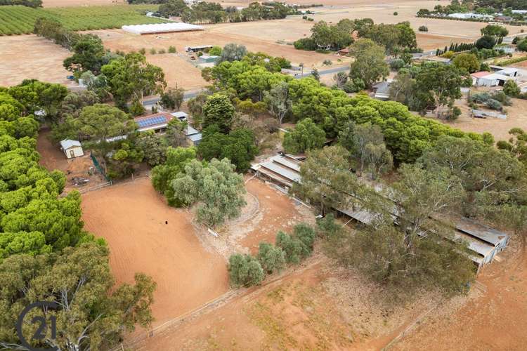 Main view of Homely acreageSemiRural listing, 360 Hillier Road, Hillier SA 5116