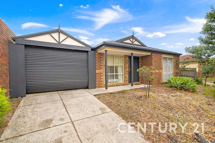 7 Buckley Way, Lynbrook VIC 3975