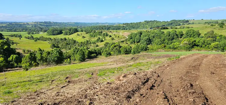 Fifth view of Homely land listing, 11 Talbot Close, Mcleans Ridges NSW 2480