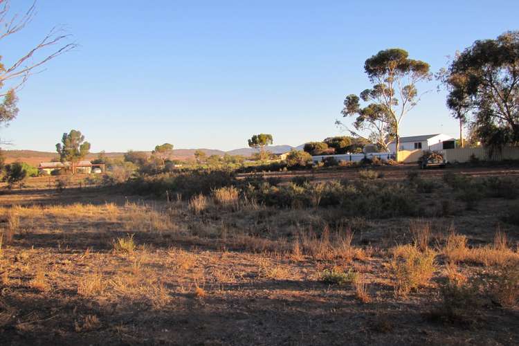 Main view of Homely residentialLand listing, 33 Wolseley Terrace, Quorn SA 5433
