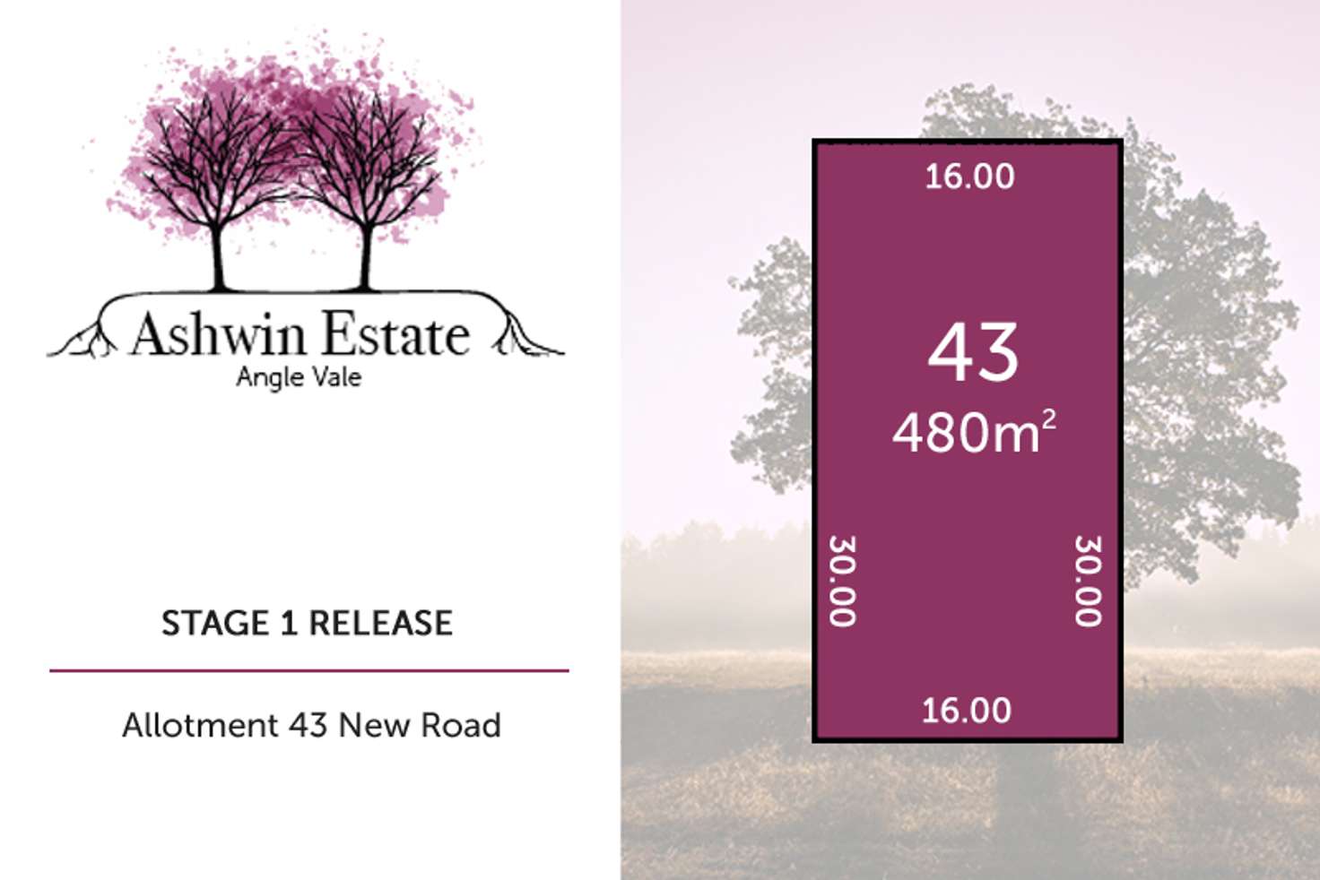 Main view of Homely residentialLand listing, Lot 43 Luis Drive, Angle Vale SA 5117