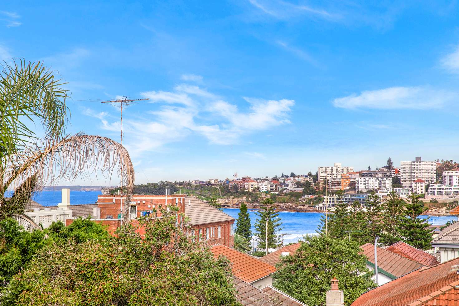 Main view of Homely apartment listing, 5/35 Brighton Boulevard, Bondi NSW 2026