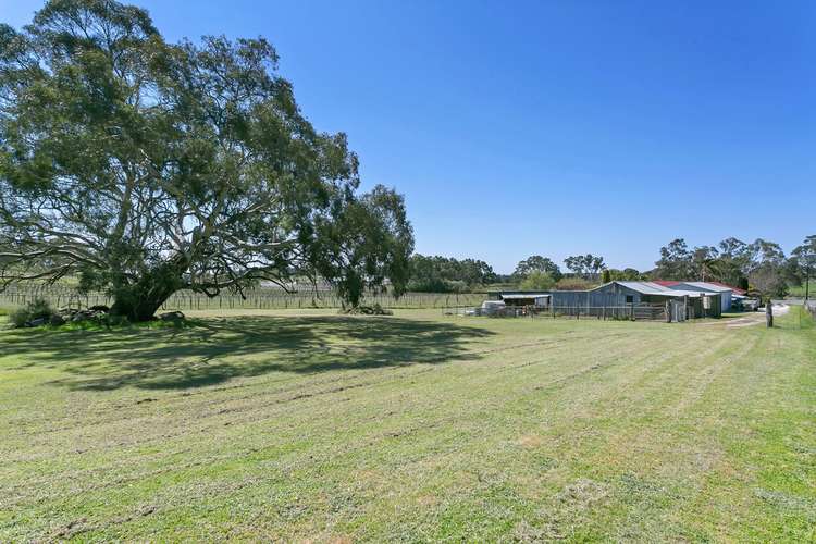 Third view of Homely house listing, 262 Long Gully Road, Angaston SA 5353