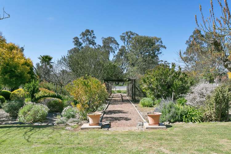 Fourth view of Homely house listing, 262 Long Gully Road, Angaston SA 5353