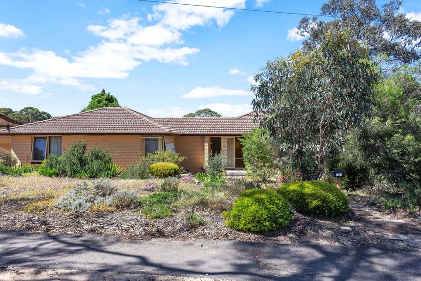 Main view of Homely house listing, 1384 Grand Junction Road, Hope Valley SA 5090