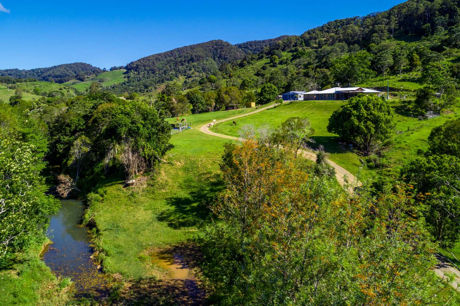 Main view of Homely livestock listing, 100 Bacon Road, Cedar Pocket QLD 4570