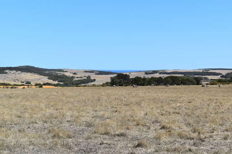Main view of Homely livestock listing, 44 Florance Road, Haines SA 5223