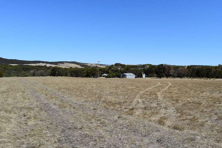 Second view of Homely livestock listing, 44 Florance Road, Haines SA 5223