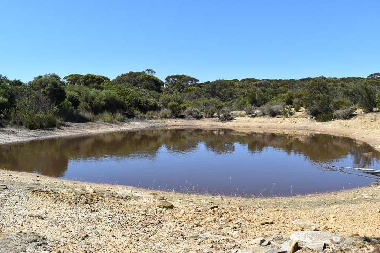 Fourth view of Homely livestock listing, 44 Florance Road, Haines SA 5223