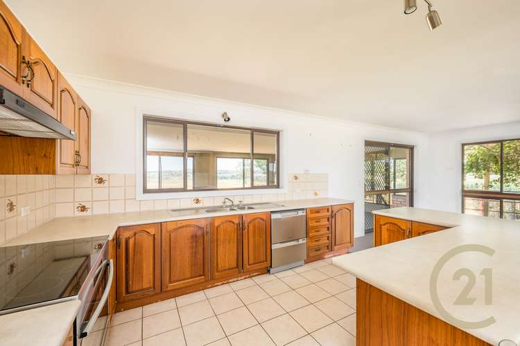 Third view of Homely lifestyle listing, 323 White Rock Road, White Rock NSW 2795