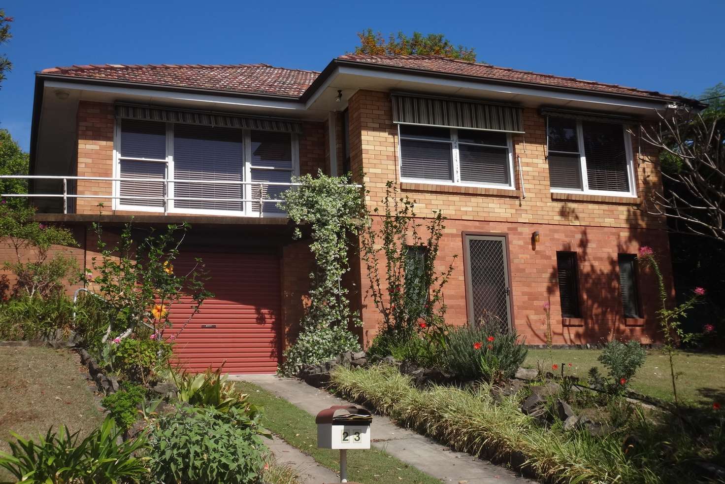 Main view of Homely house listing, 23 Garden Grove Parade, Adamstown Heights NSW 2289