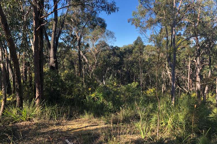 Main view of Homely residentialLand listing, 16 Eastern Avenue, Hazelbrook NSW 2779