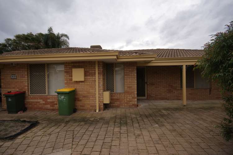 Main view of Homely semiDetached listing, 17B Carnation Place, Yangebup WA 6164