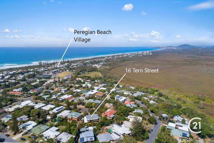 Third view of Homely house listing, 16 Tern Street, Peregian Beach QLD 4573