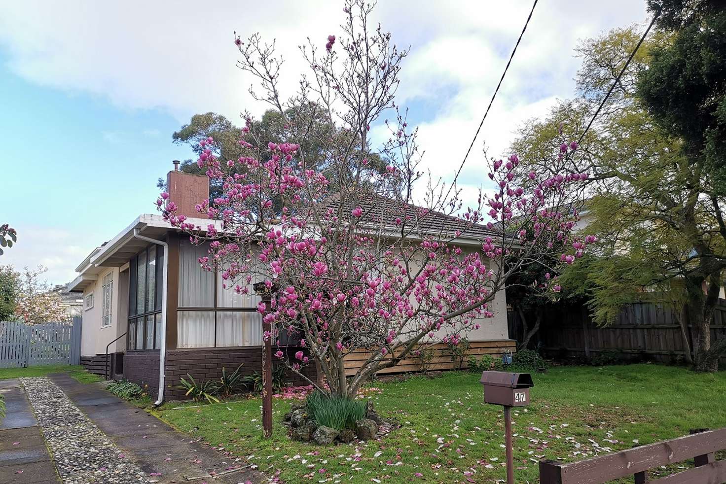 Main view of Homely house listing, 47 Parer Street, Burwood VIC 3125