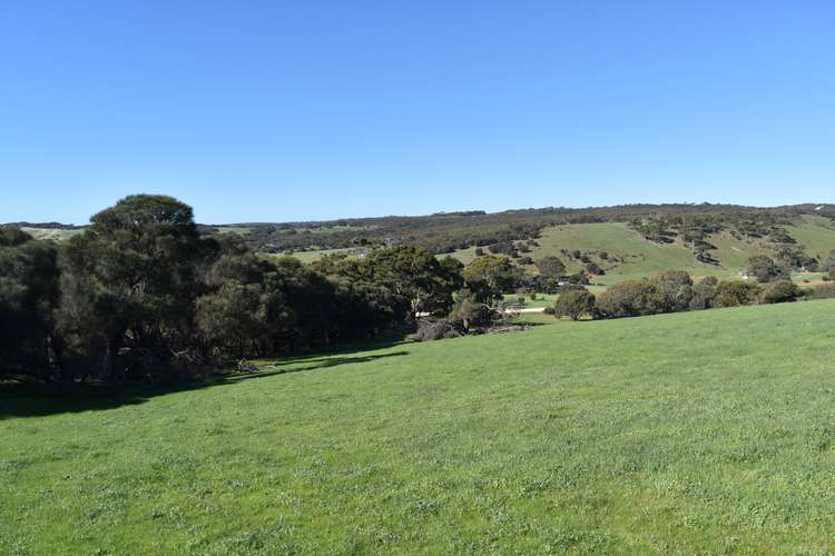 Fifth view of Homely residentialLand listing, Lot 908 North Coast Road, Stokes Bay SA 5223