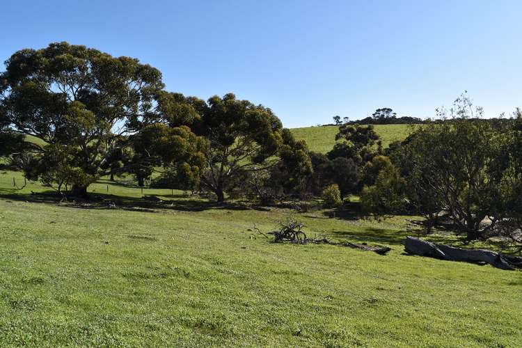 Fifth view of Homely residentialLand listing, Lot 910 North Coast road, Stokes Bay SA 5223