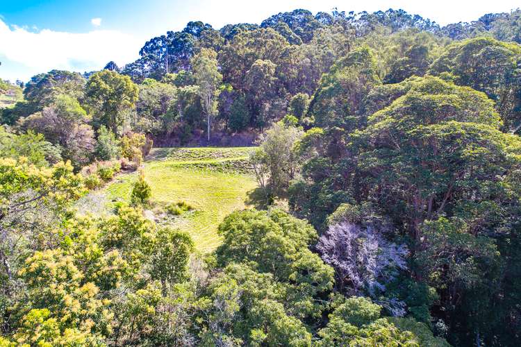Fifth view of Homely residentialLand listing, 145 Kirby Road, Montville QLD 4560