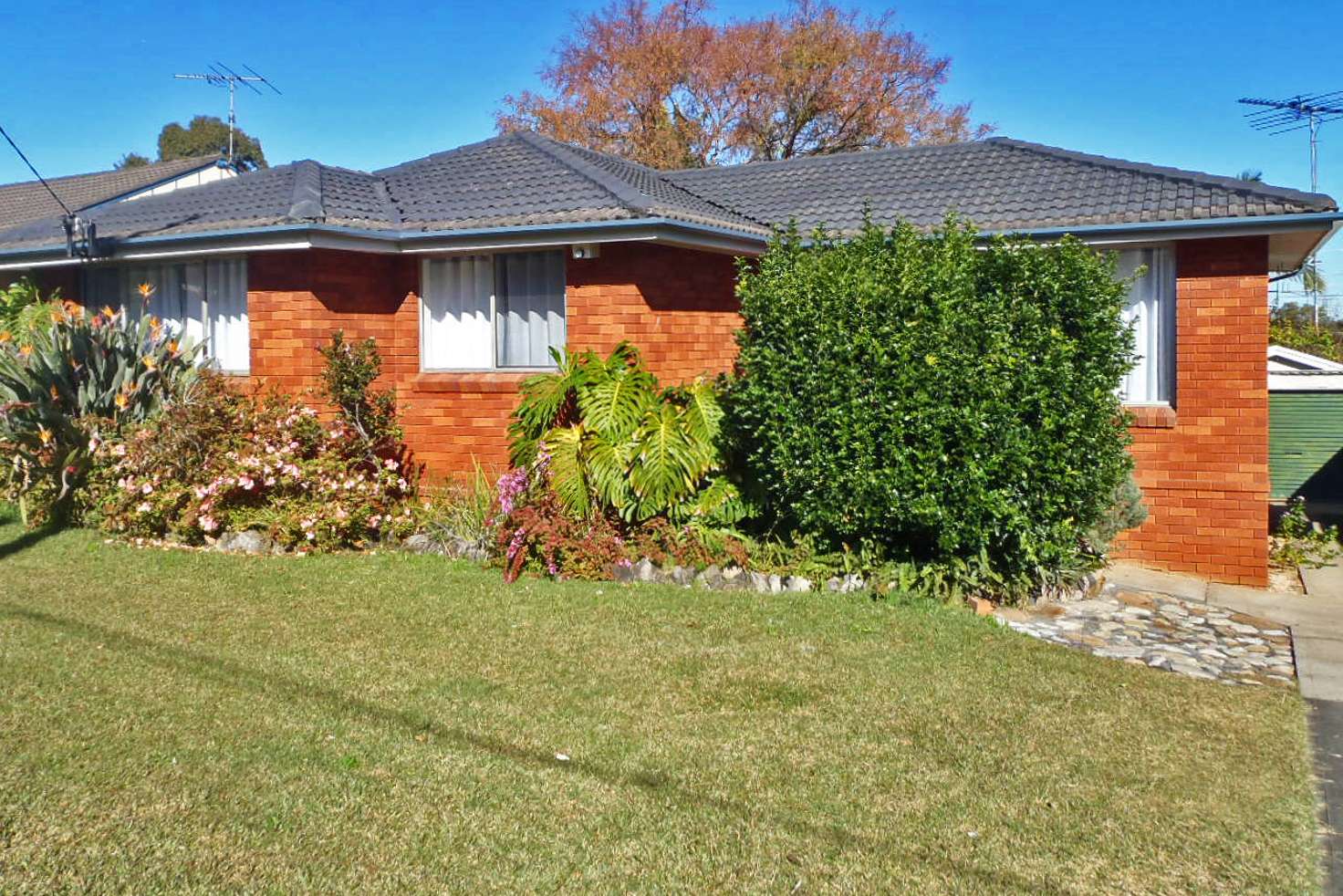 Main view of Homely house listing, 19 Gideon Street, Winston Hills NSW 2153