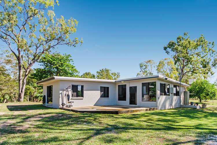 Sixth view of Homely house listing, 128 Forestry Road, Bluewater QLD 4818