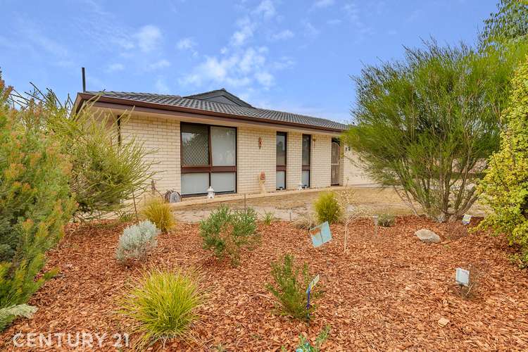 Main view of Homely house listing, 9 Lawrence Street, Gosnells WA 6110