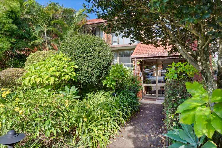 Fourth view of Homely unit listing, 8/172 Mooloolaba Road, Buderim QLD 4556