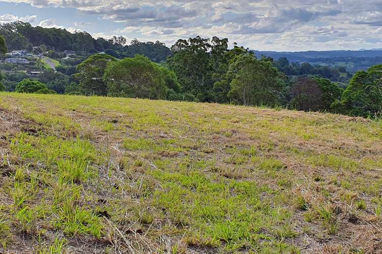 Seventh view of Homely other listing, 25 Lincoln Avenue, Mcleans Ridges NSW 2480