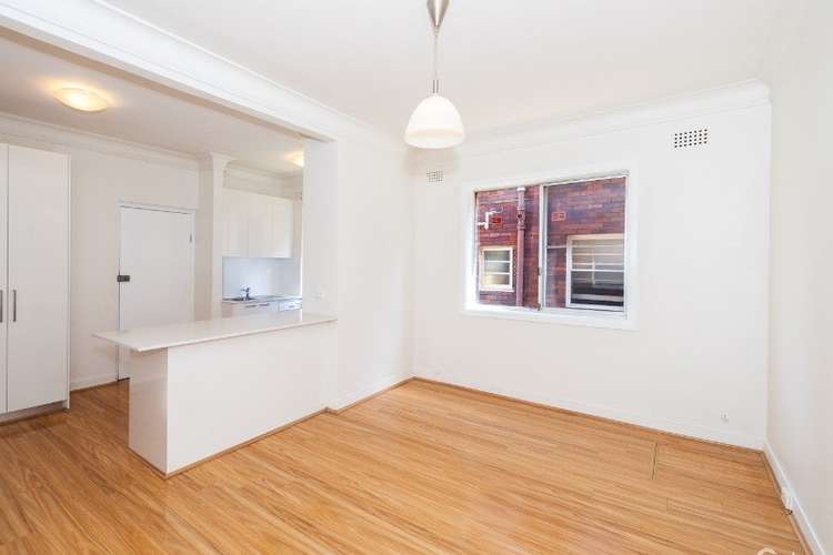 Main view of Homely apartment listing, 1/119 Maroubra Road, Maroubra NSW 2035