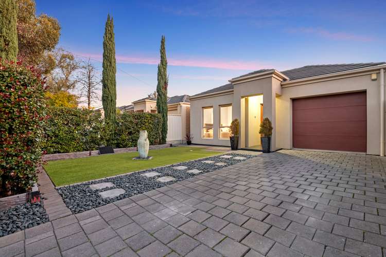 Main view of Homely house listing, 19 Innes Road, Windsor Gardens SA 5087