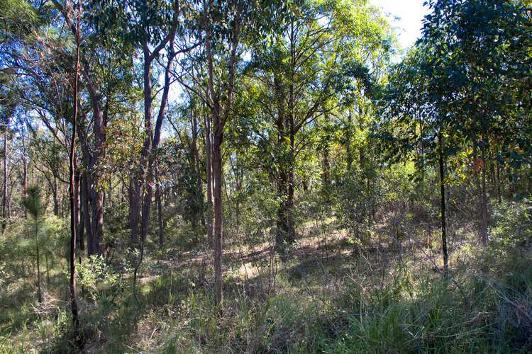 Third view of Homely acreageSemiRural listing, 82 Toonang Dr, Tea Gardens NSW 2324