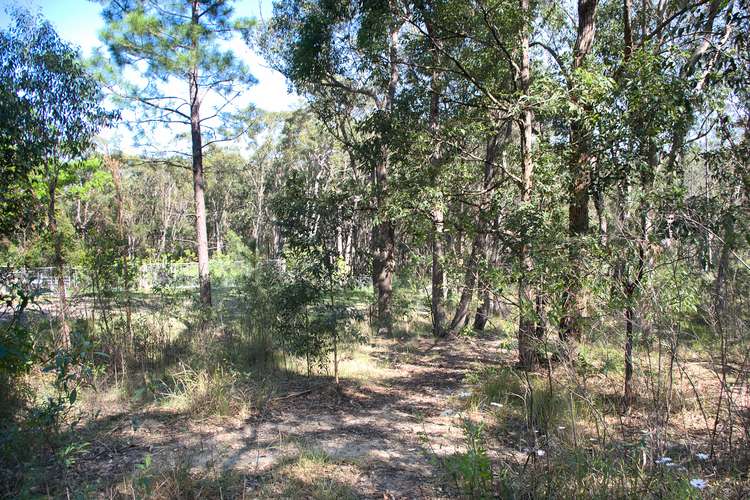 Fifth view of Homely acreageSemiRural listing, 82 Toonang Dr, Tea Gardens NSW 2324