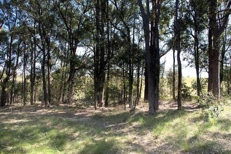 Seventh view of Homely acreageSemiRural listing, 82 Toonang Dr, Tea Gardens NSW 2324