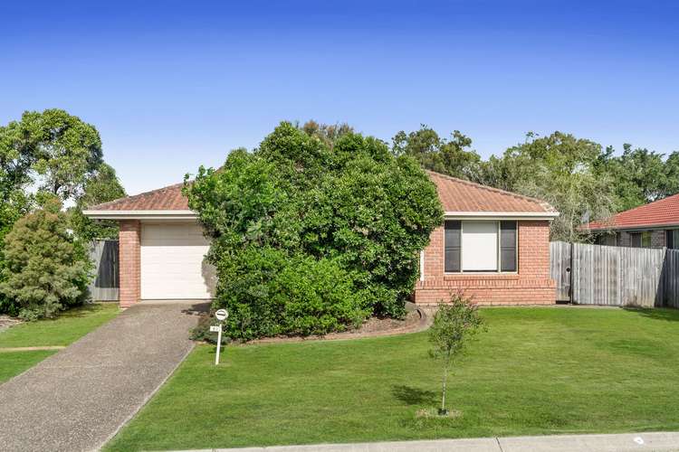 Main view of Homely house listing, 14 Pinewood Street, Wynnum West QLD 4178
