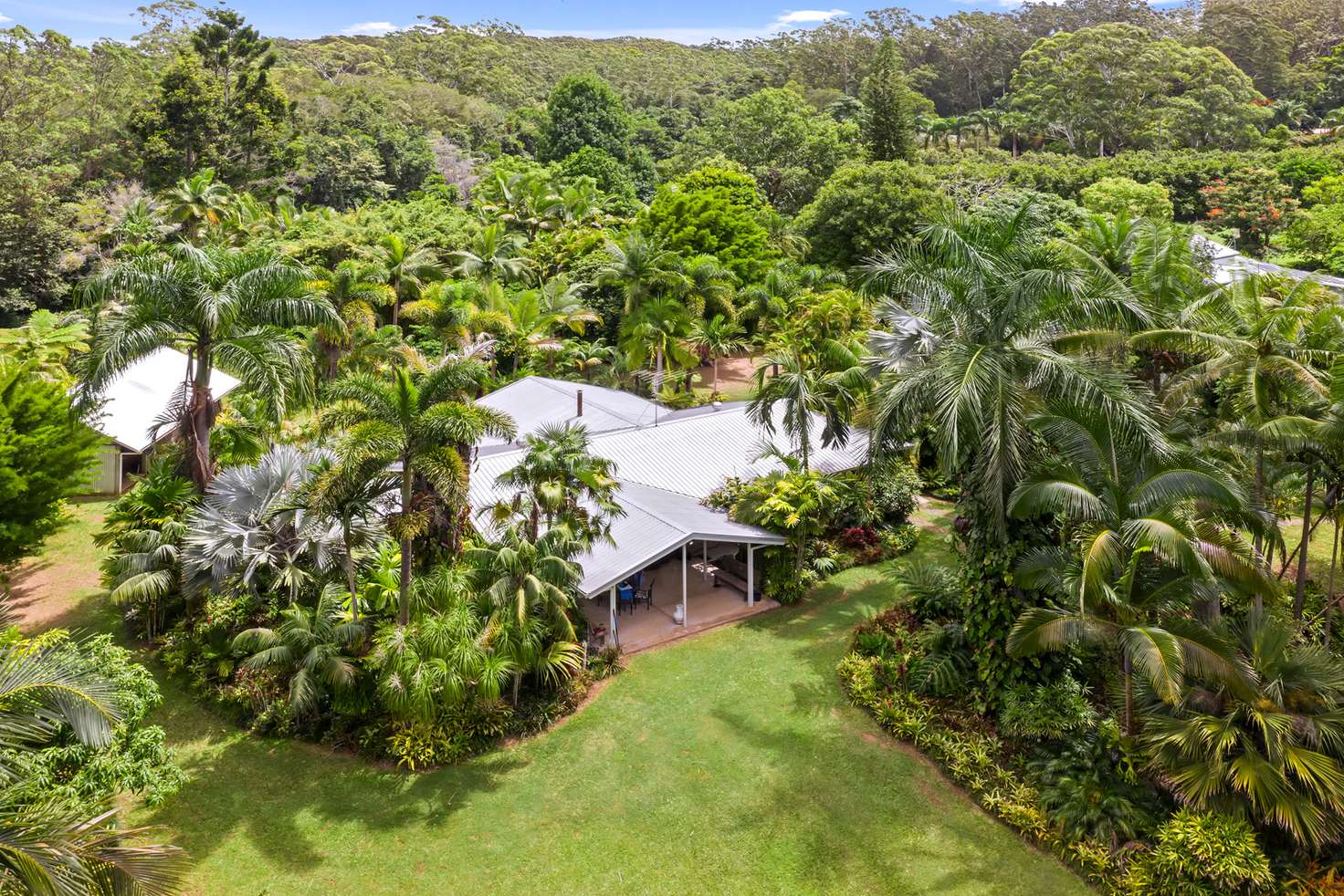 Main view of Homely acreageSemiRural listing, 50 Bamboo Road, Palmwoods QLD 4555