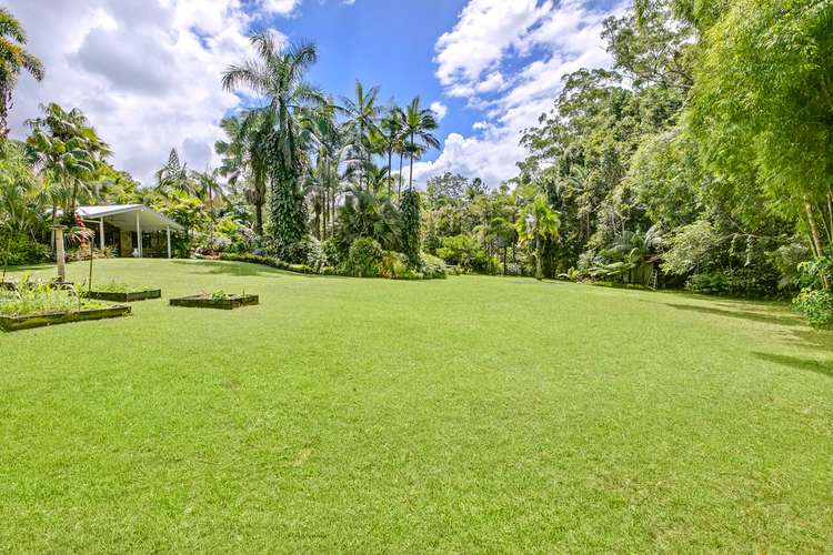 Fourth view of Homely acreageSemiRural listing, 50 Bamboo Road, Palmwoods QLD 4555
