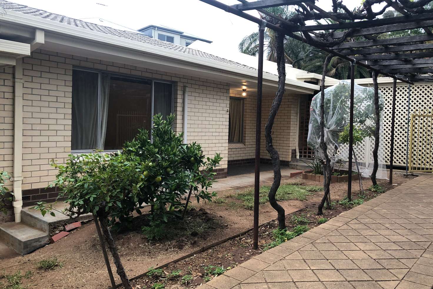 Main view of Homely unit listing, 3/39 Gilbert Street, Ovingham SA 5082