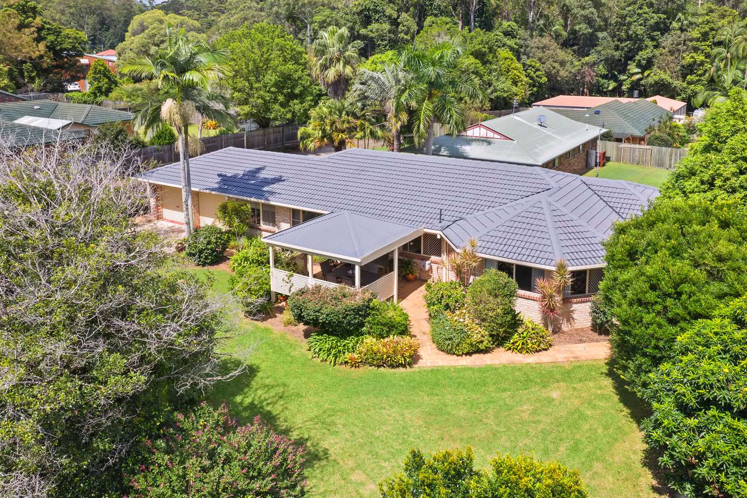 Main view of Homely house listing, 39 Stanley Street, Palmwoods QLD 4555