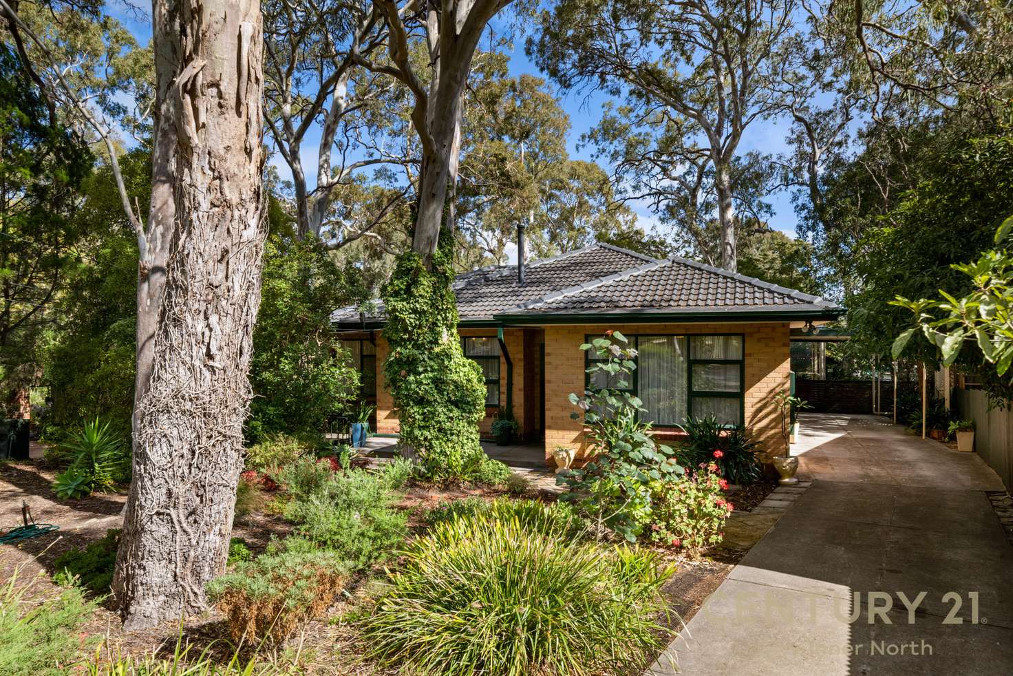 Main view of Homely house listing, 4 Tatiara Drive, Banksia Park SA 5091