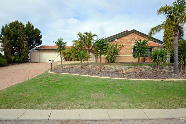 Main view of Homely house listing, 16 Elkington Mews, Clarkson WA 6030