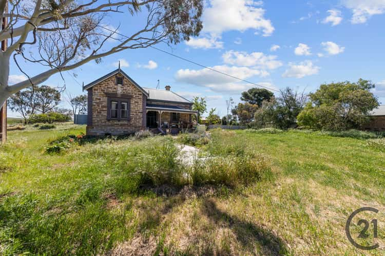 Main view of Homely house listing, 1149 Ngapala Road, Ngapala SA 5374