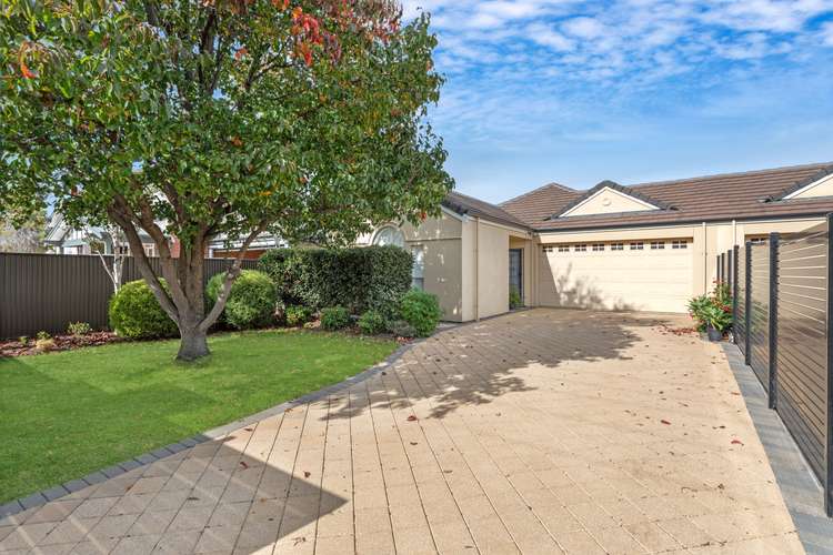 Main view of Homely house listing, 50a Princes Road, Torrens Park SA 5062